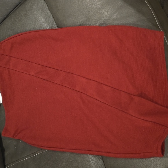 ZARA Skirt - Picture 2 of 3